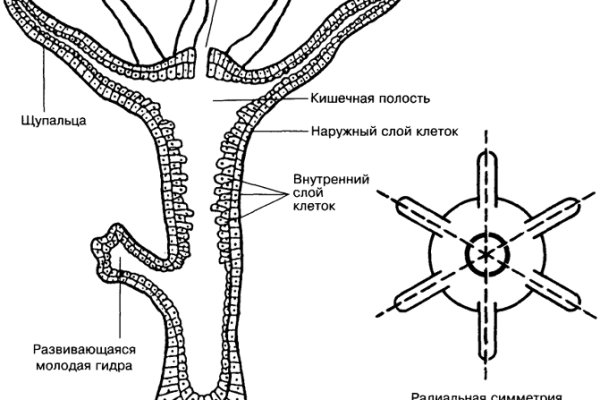 Купить гашиш экстази мефедрон